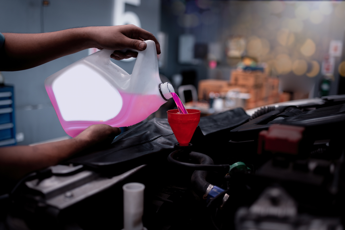 How Much Transmission Fluid Do I Need